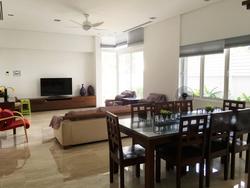 Shamrock Park (D10), Terrace #153498662